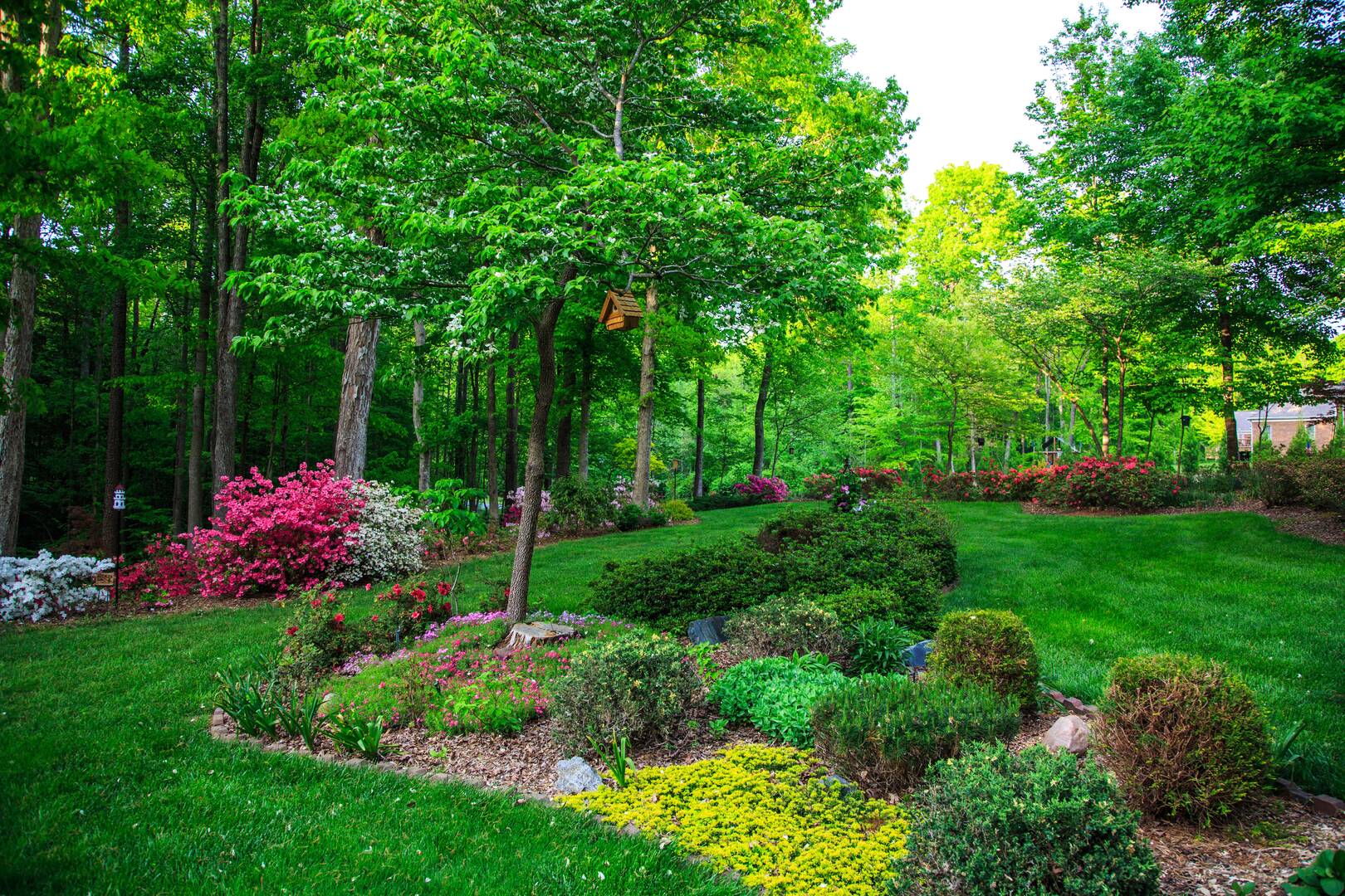 Beautiful Country Tree Service logo