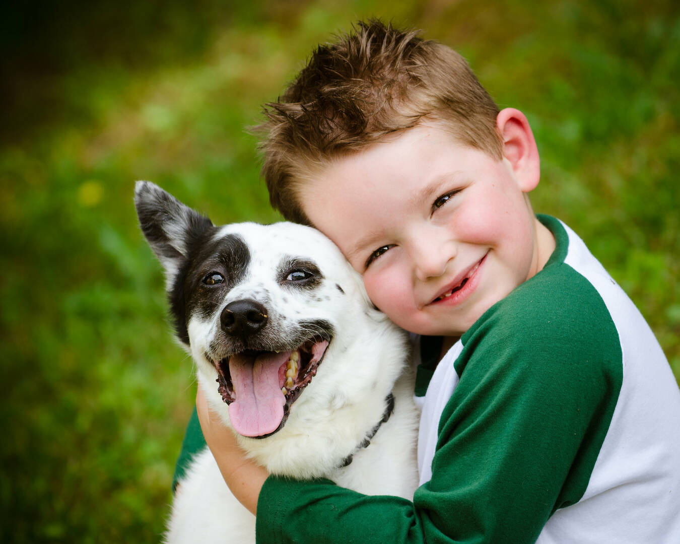 Angel Pet Hospital logo